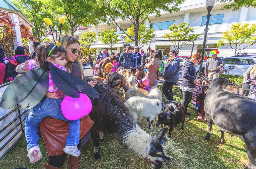 A mother and her daughter enjoy the petting zoo at last year’s FALLoween celebration. This year’s FALLoween celebration at Market Common Clarendon is this Saturday, Oct. 25, and will feature another petting zoo, face painting, musical performances, pumpkin decorating and samplings from Market Common Clarendon retailers. (Courtesy Photo)