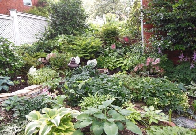 The garden of John Auditore and Ted Williams won top prize in the 2013 Garden of the Year competition. (Photo: Mary Cottrell)